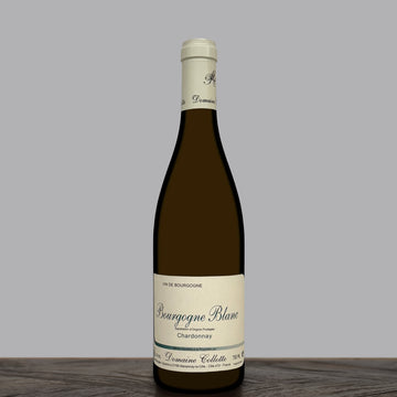 Domaine Collotte Bourgogne Blanc