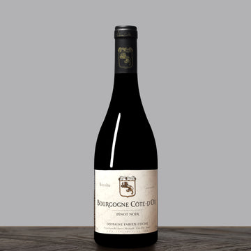 2020 Domaine Fabien Coche Bourgogne Cote-d'or Pinot Noir