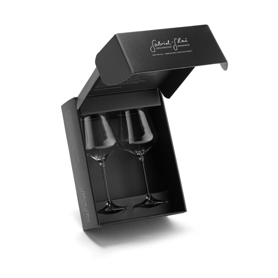 Gabriel Universal Wine Glass 2 Pack StandArt