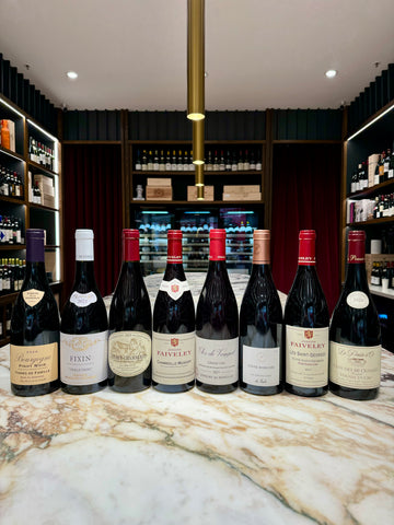 An Introduction to Burgundy - Red Burgundy Tasting