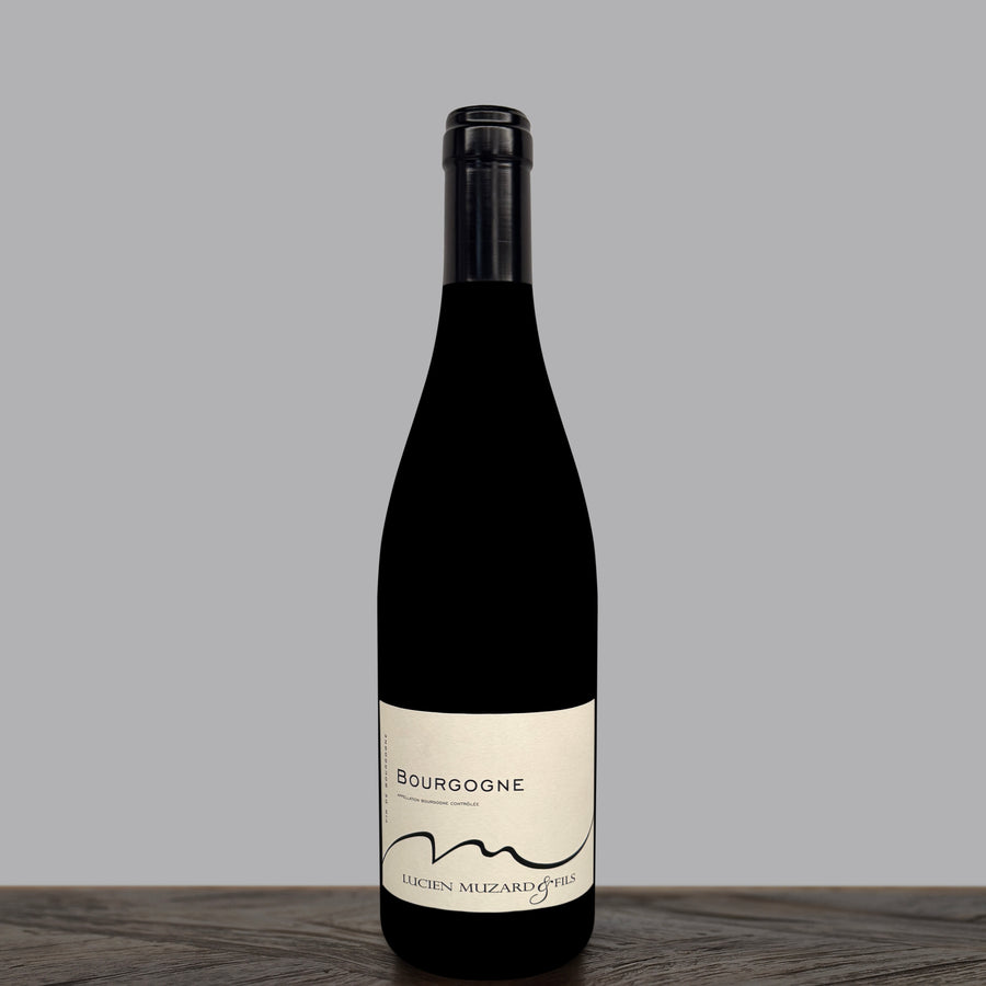 2023 Lucien Muzard & Fils Bourgogne Rouge