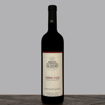 Paolo Scavino Barbera d'Alba