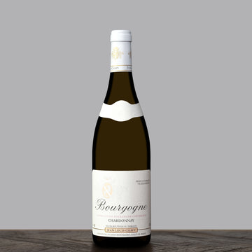 2019 Jean-Louis Chavy Bourgogne Blanc